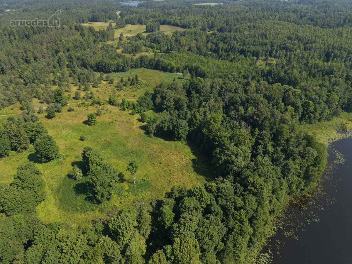 Du Sklypai Viename Pasiūlyme – 1,94 Ha Gamtos - nuotraukos Nr. 10