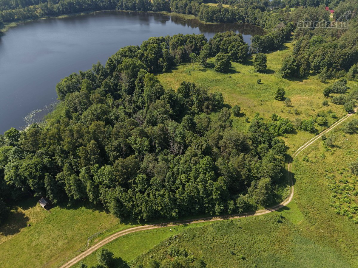 Du Sklypai Viename Pasiūlyme – 1,94 Ha Gamtos - nuotraukos Nr. 13