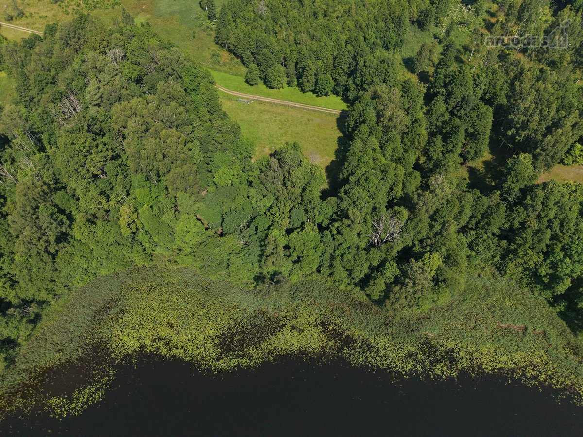 Du Sklypai Viename Pasiūlyme – 1,94 Ha Gamtos - nuotraukos Nr. 15