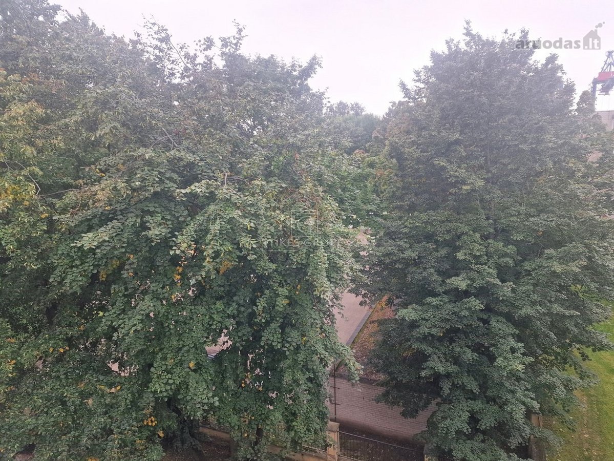 Parduodamas tvarkingas ir patogiai - nuotraukos Nr. 7