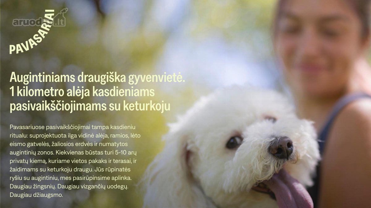 Pavasariai - Naujos Kartos Vilniaus - nuotraukos Nr. 35