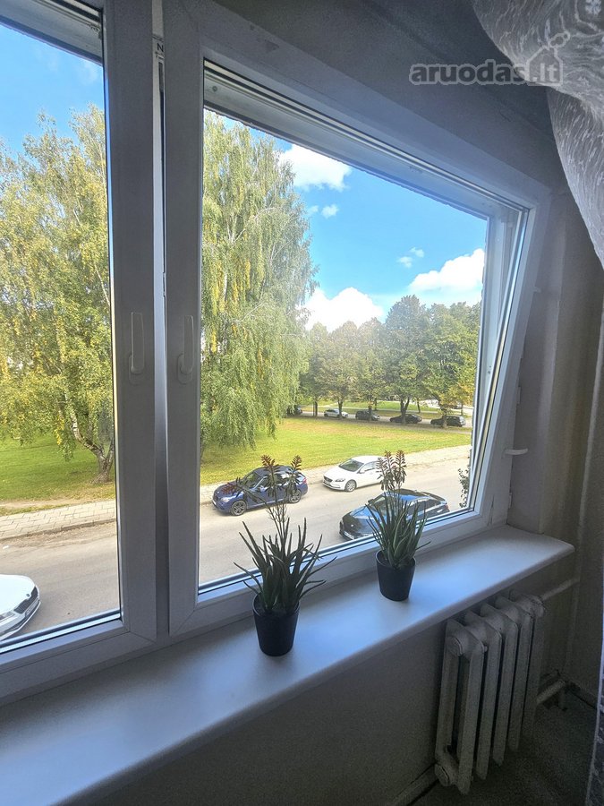 Naujas pasiūlymas rinkoje. - nuotraukos Nr. 13