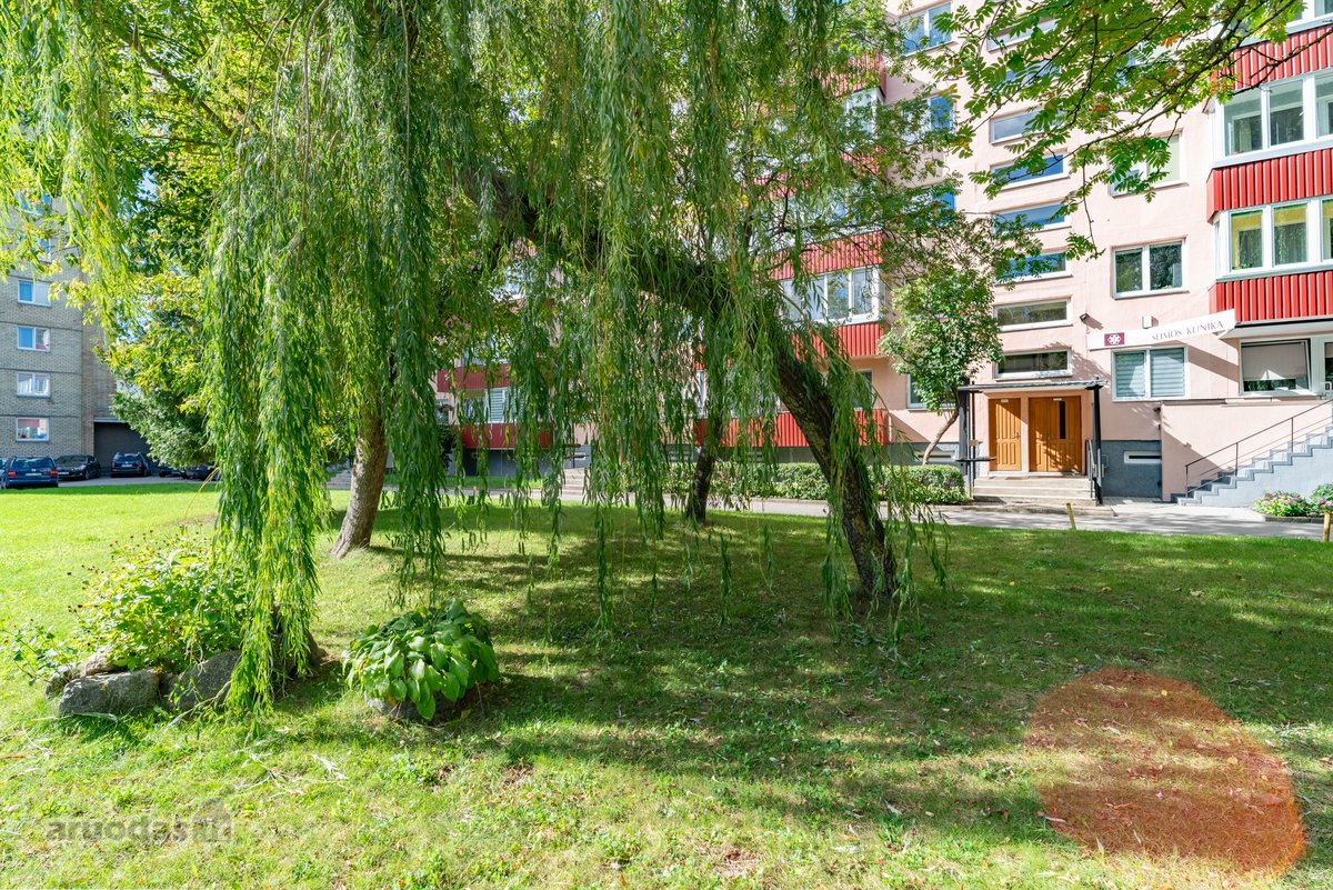 Jaukus, tvarkingas butas žalioje, ramioje - nuotraukos Nr. 17
