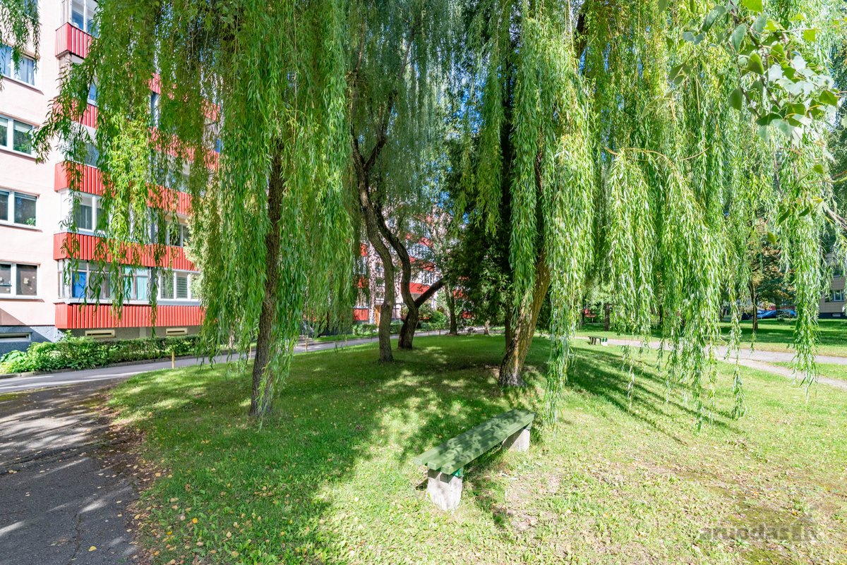 Jaukus, tvarkingas butas žalioje, ramioje - nuotraukos Nr. 18