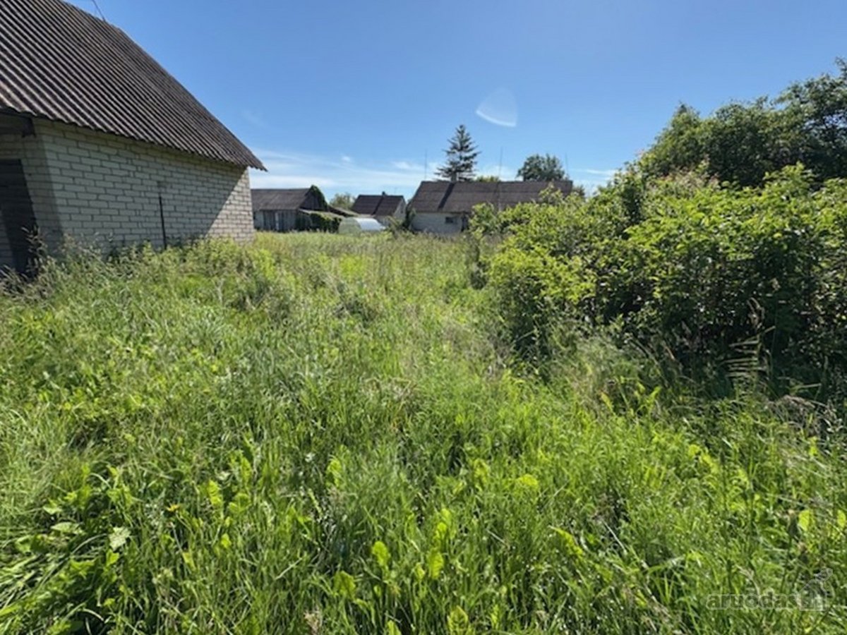 Gyvenamasis namas su žemės sklypu ir - nuotraukos Nr. 26