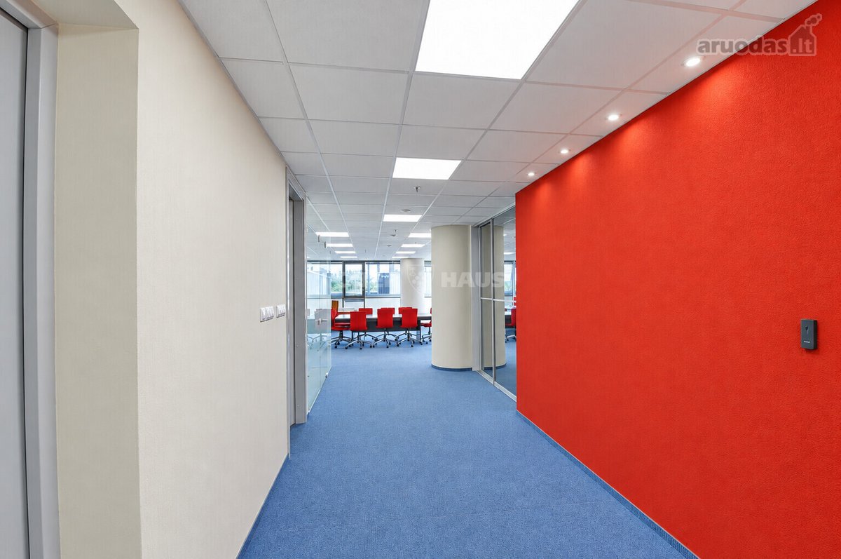 Išnuomojamos labai gerai įrengtos 169.07 m² - nuotraukos Nr. 4