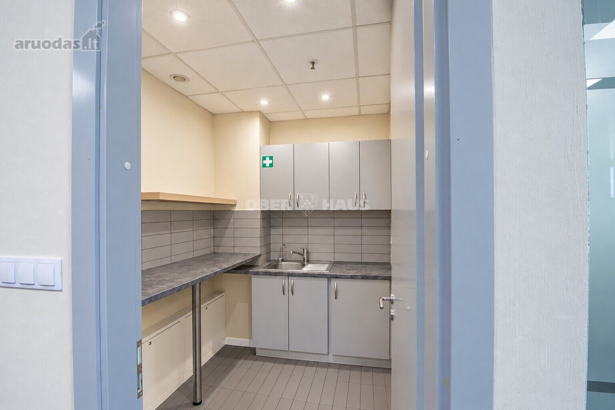 Išnuomojamos labai gerai įrengtos 169.07 m² - nuotraukos Nr. 12