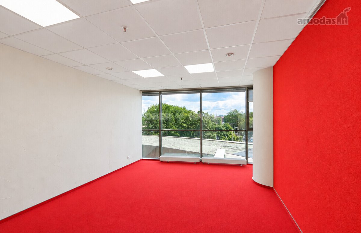 Išnuomojamos labai gerai įrengtos 169.07 m² - nuotraukos Nr. 13