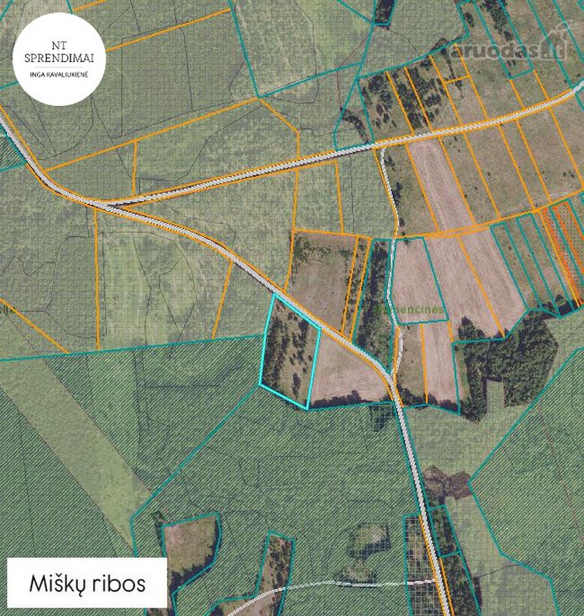 Miškų apsupty parduodamas 98.75 arų žemės - nuotraukos Nr. 4