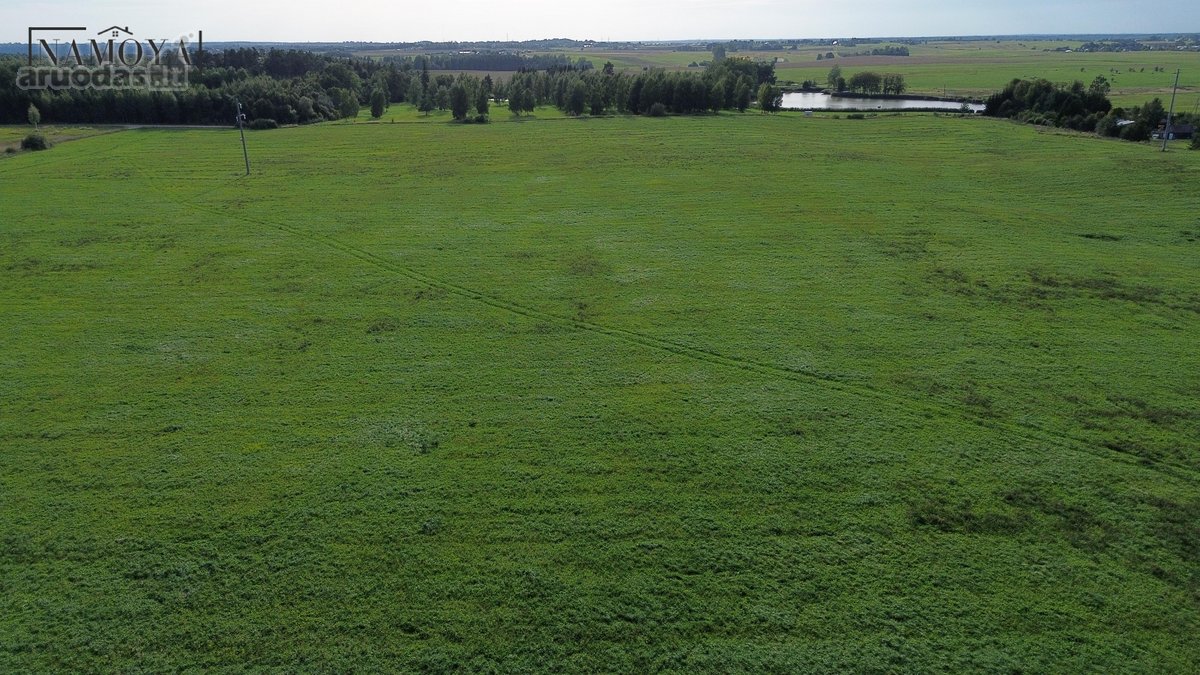 Šalia Domeikavos Smiltynų 1k.undinės g. ant - nuotraukos Nr. 14