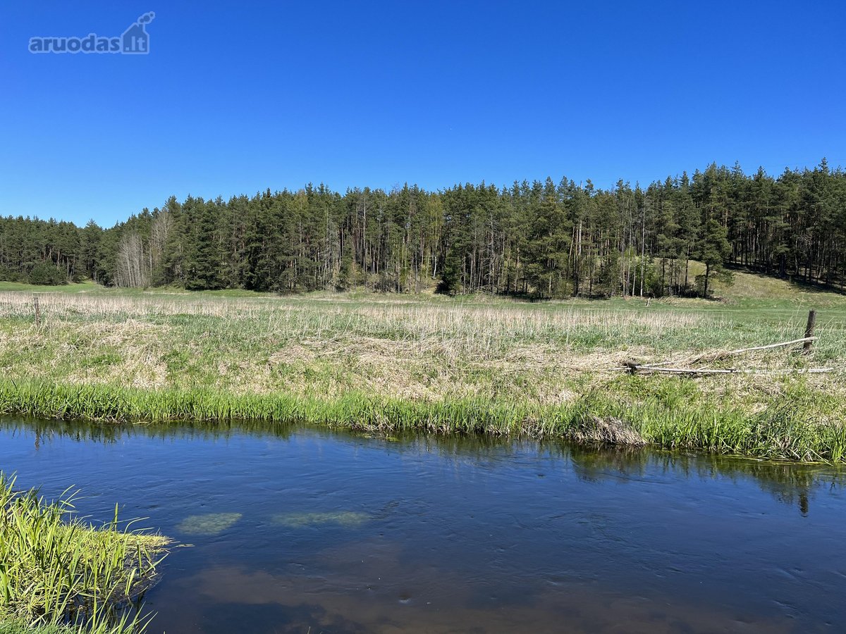 Parduodamas 31,95 a namų valdos sklypas prie - nuotraukos Nr. 4