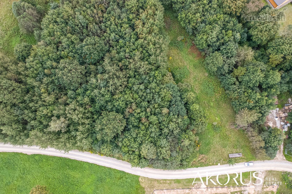 Verta Žinoti - nuotraukos Nr. 8