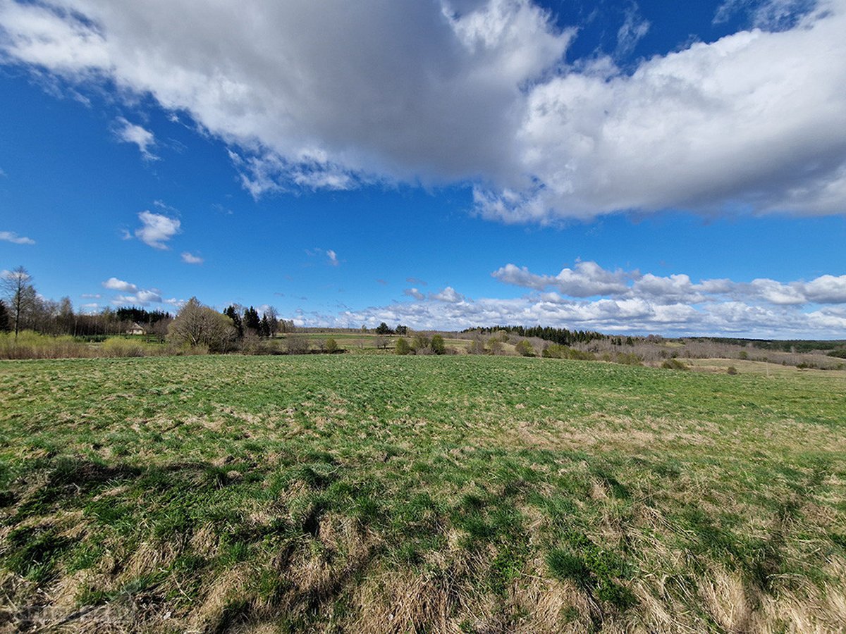 Kalvų, Klonių Ir Miškų Apsuptyje, Itin - nuotraukos Nr. 18