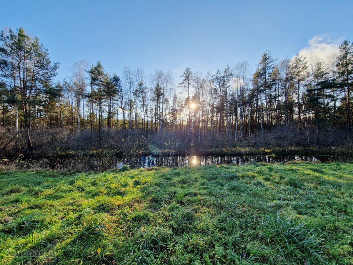 Šalia Molėtų miesto, labai ramioje ir - nuotraukos Nr. 13
