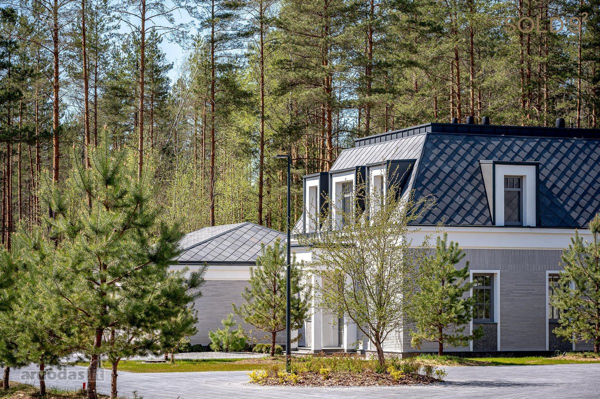 Kartais puikiems projektams prireikia naujo - nuotraukos Nr. 7
