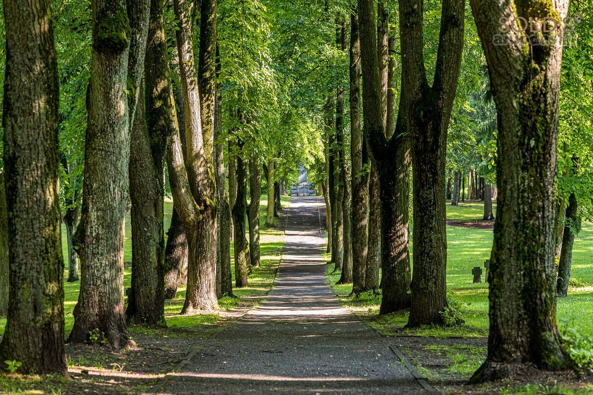 Pačioje Naujamiesčioje pradžioje, keliolika - nuotraukos Nr. 17