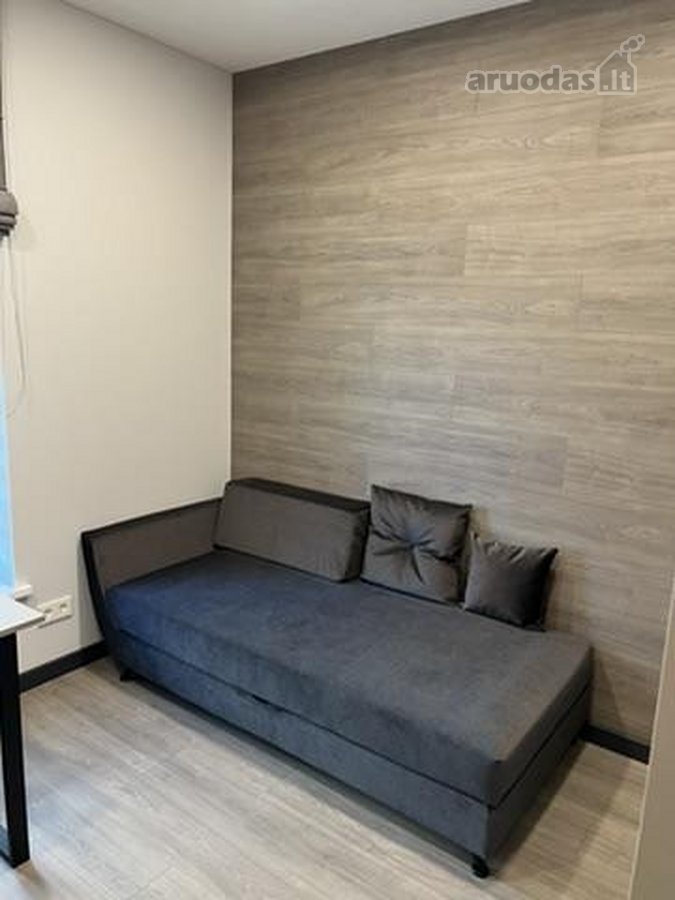 Išnuomojamas šiuolaikiškai įrengtas 3 - nuotraukos Nr. 14