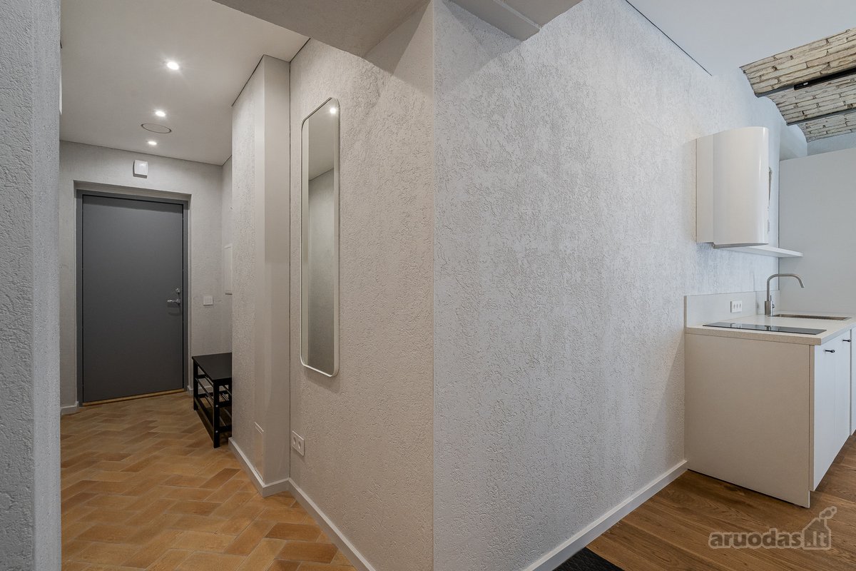 Studio Tipo Buto Nuoma Senamiestyje (J. - nuotraukos Nr. 18