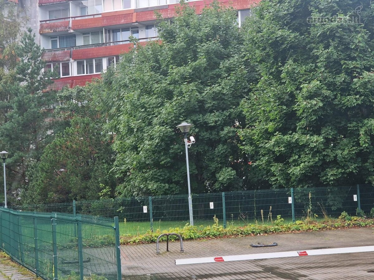 1 K. Butas Palangoje – Apie 700 M Iki Jūros, - nuotraukos Nr. 17