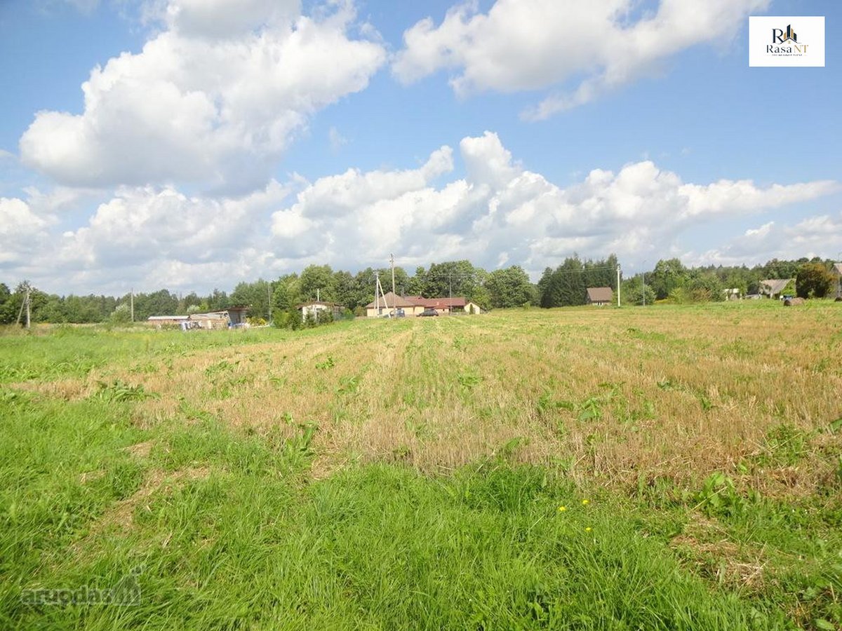 Parduodamas erdvus 40a namų valdos sklypas - nuotraukos Nr. 8
