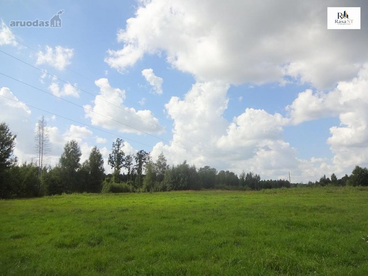 Parduodamas erdvus 40a namų valdos sklypas - nuotraukos Nr. 9
