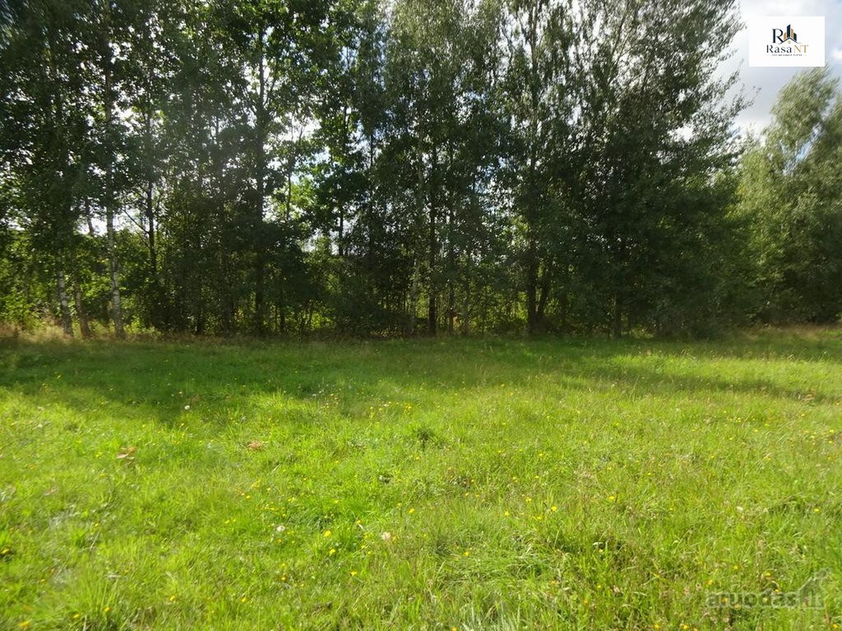 Parduodamas erdvus 40a namų valdos sklypas - nuotraukos Nr. 12