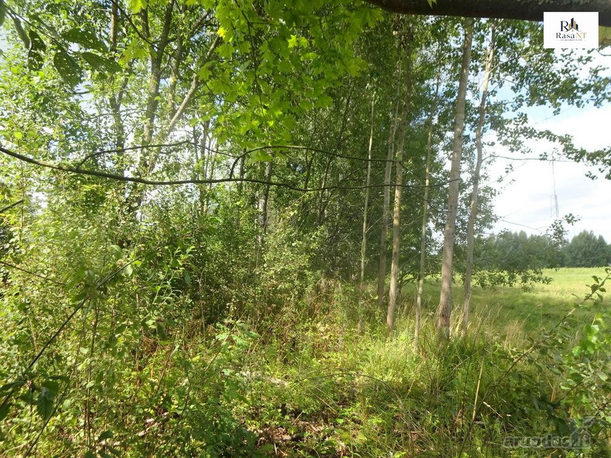 Parduodamas erdvus 40a namų valdos sklypas - nuotraukos Nr. 17