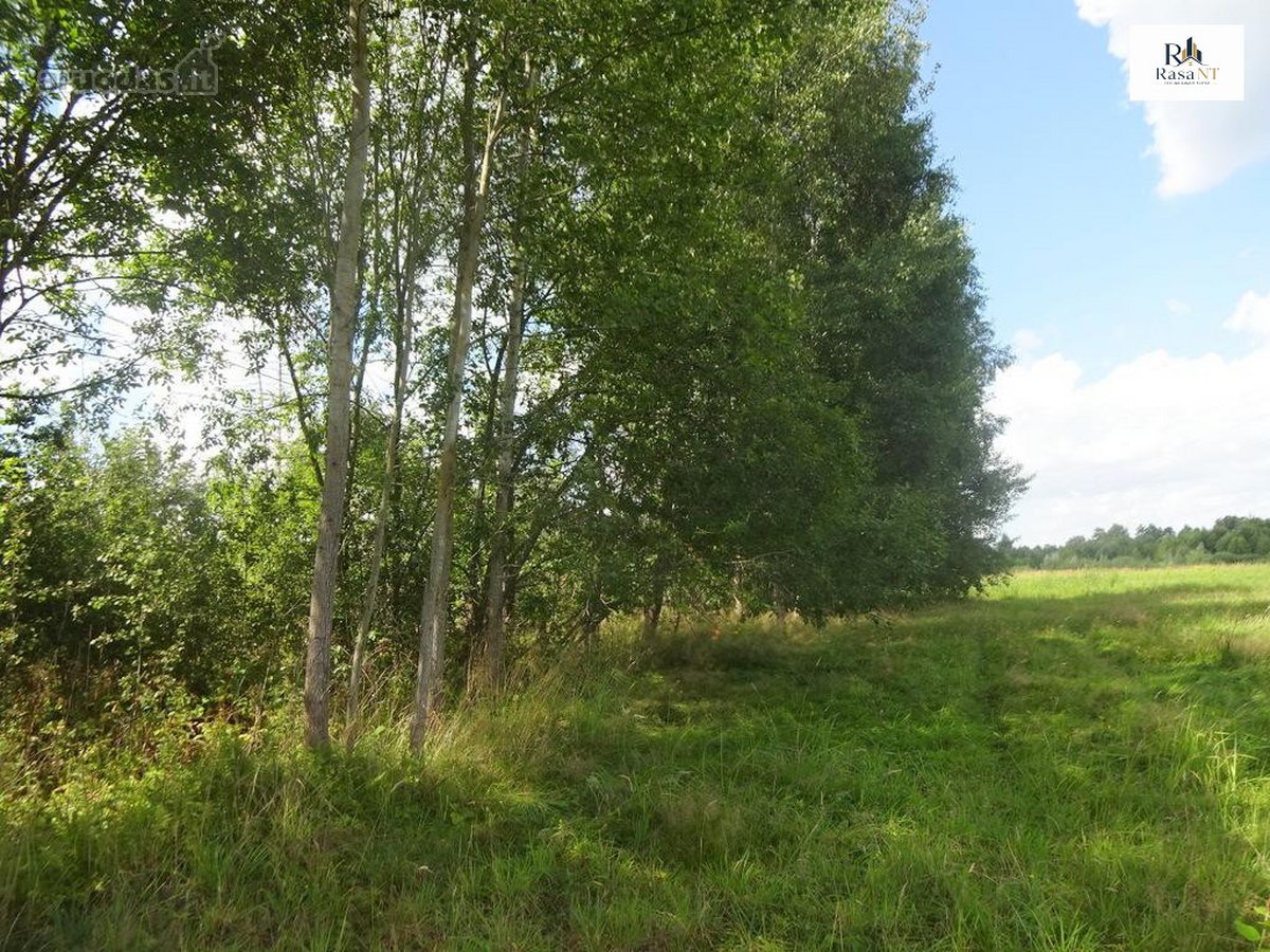 Parduodamas erdvus 40a namų valdos sklypas - nuotraukos Nr. 19