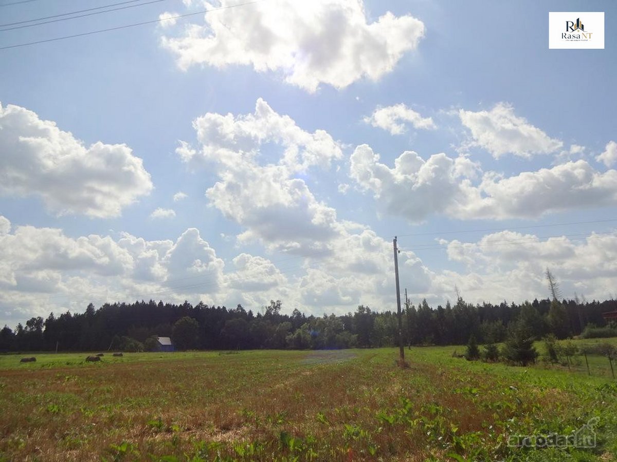 Parduodamas erdvus 40a namų valdos sklypas - nuotraukos Nr. 24