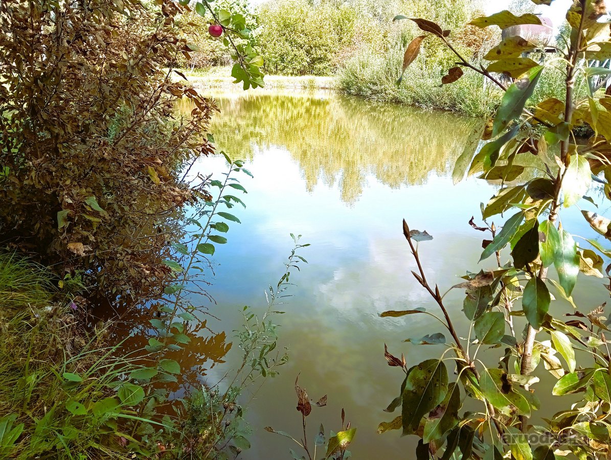 Parduodamas Tvarkingas 183 m² namas su 18 a - nuotraukos Nr. 60