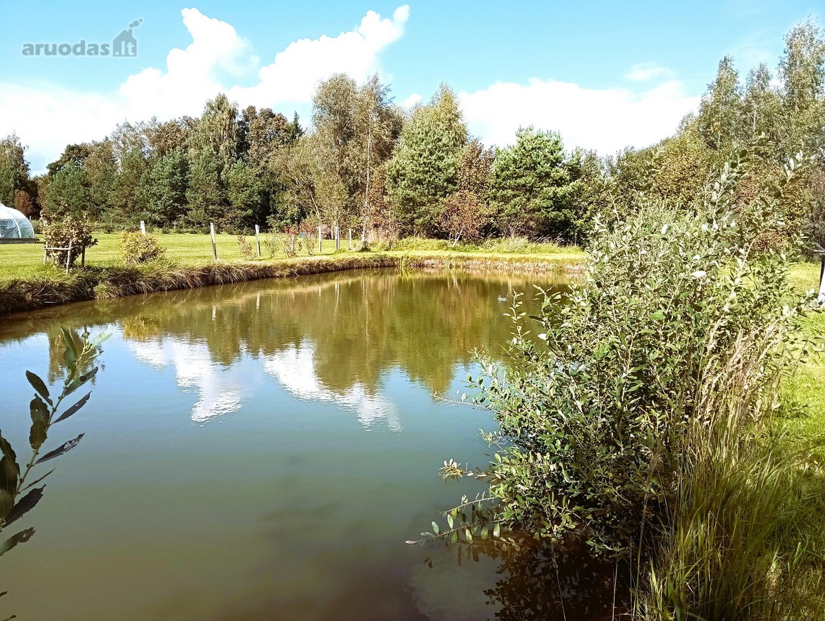 Parduodamas Tvarkingas 183 m² namas su 18 a - nuotraukos Nr. 61