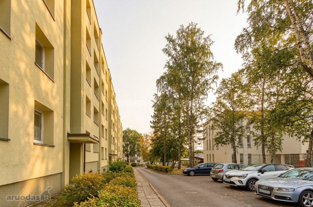 Žalumos Apsuptyje Jaukus 3 Kambarių Butas - nuotraukos Nr. 7