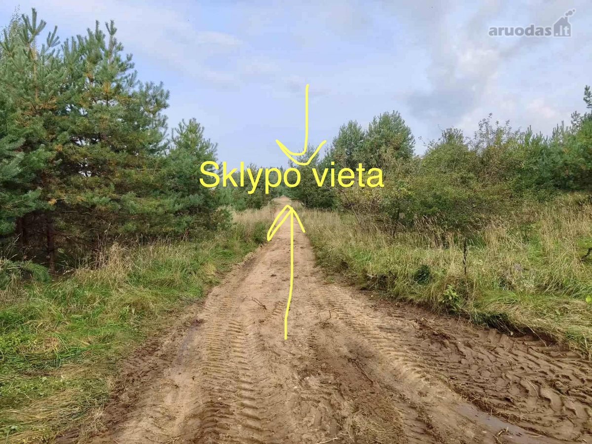 Parduodamas investicinis namų valdos sklypas - nuotraukos Nr. 3