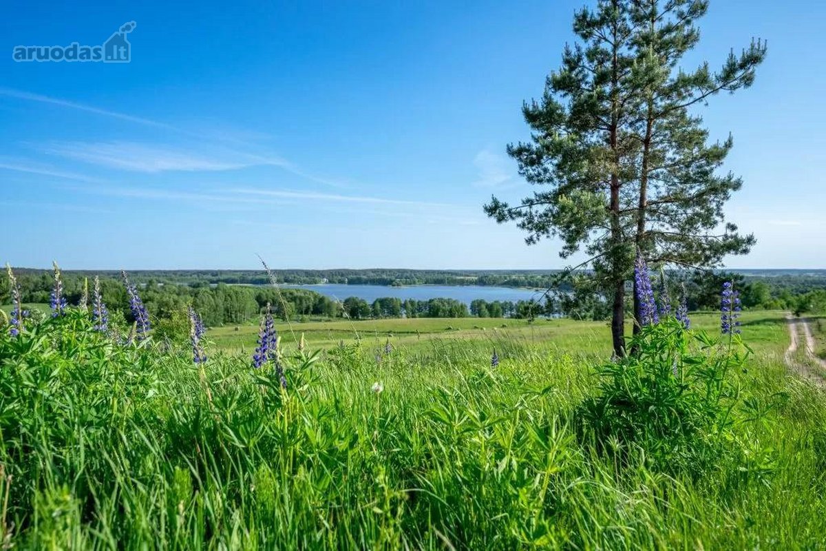 Parduodamas 48,42 a namu valdos sklypas - nuotraukos Nr. 9