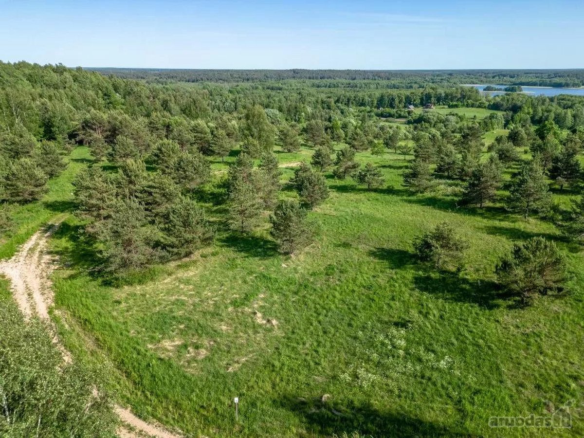 Parduodamas 48,42 a namu valdos sklypas - nuotraukos Nr. 14
