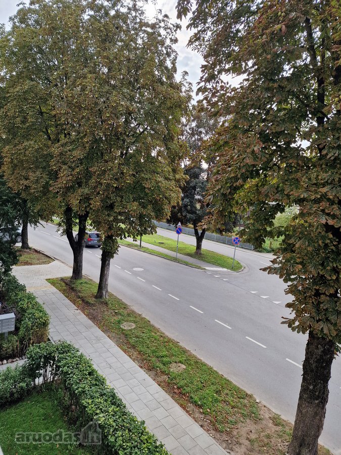 Erdvus Butas Žaliakalnyje Prie Centro - nuotraukos Nr. 29