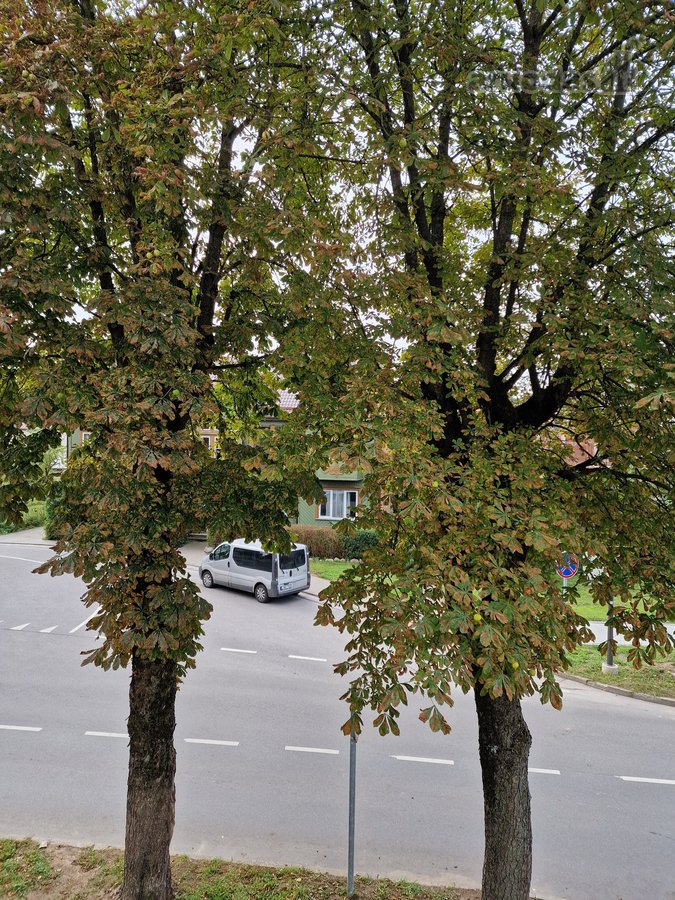 Erdvus Butas Žaliakalnyje Prie Centro - nuotraukos Nr. 32