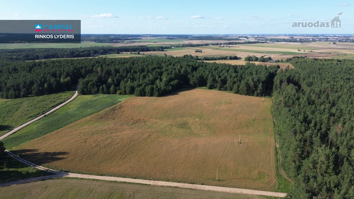 Parduodamas žemės ūkio ir miško paskirties - nuotraukos Nr. 4