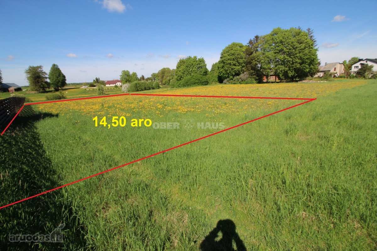 Parduodami du sklypai Vėžaičių miestelyje, - nuotraukos Nr. 13