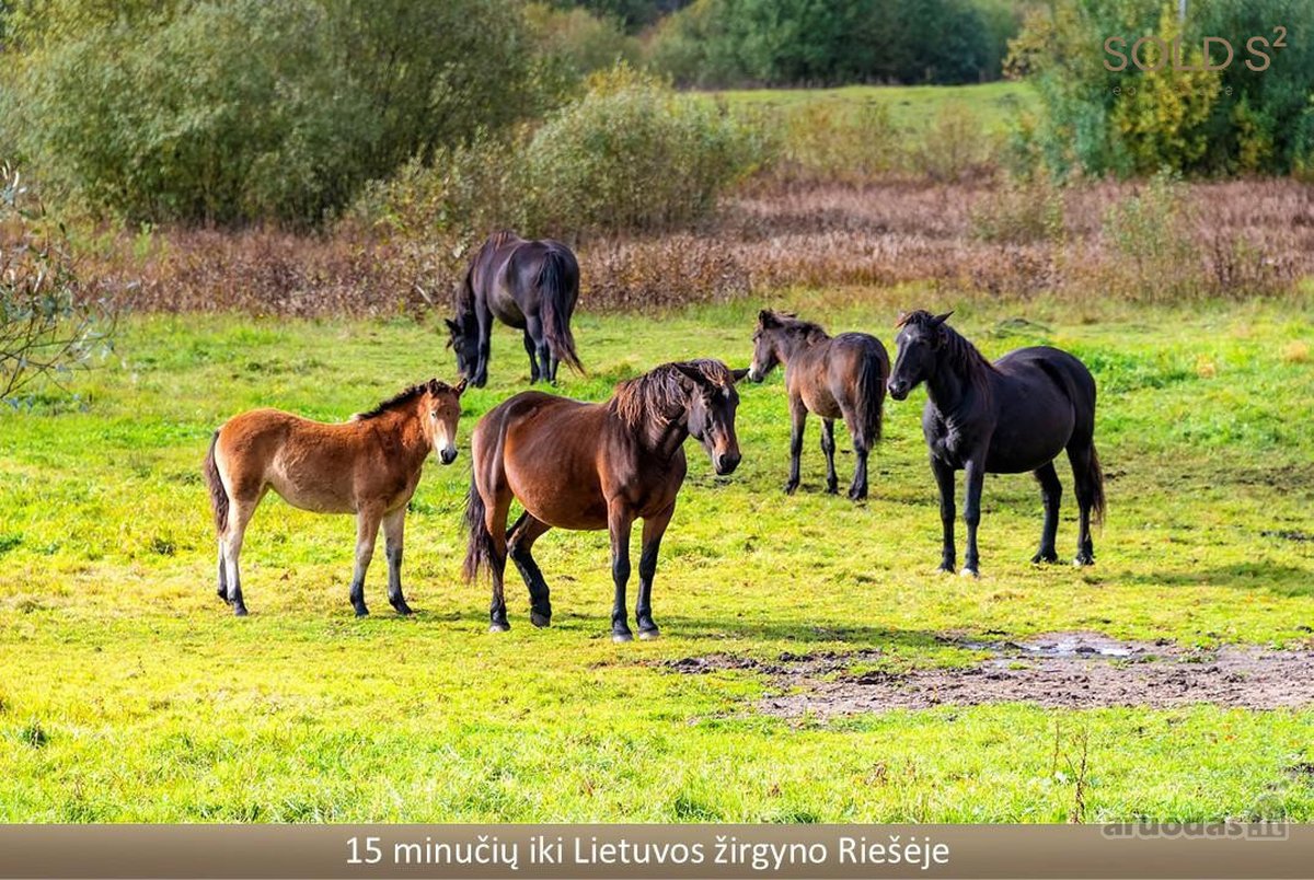 Erdvus ir šviesus namas gamtos apsuptyje – - nuotraukos Nr. 39