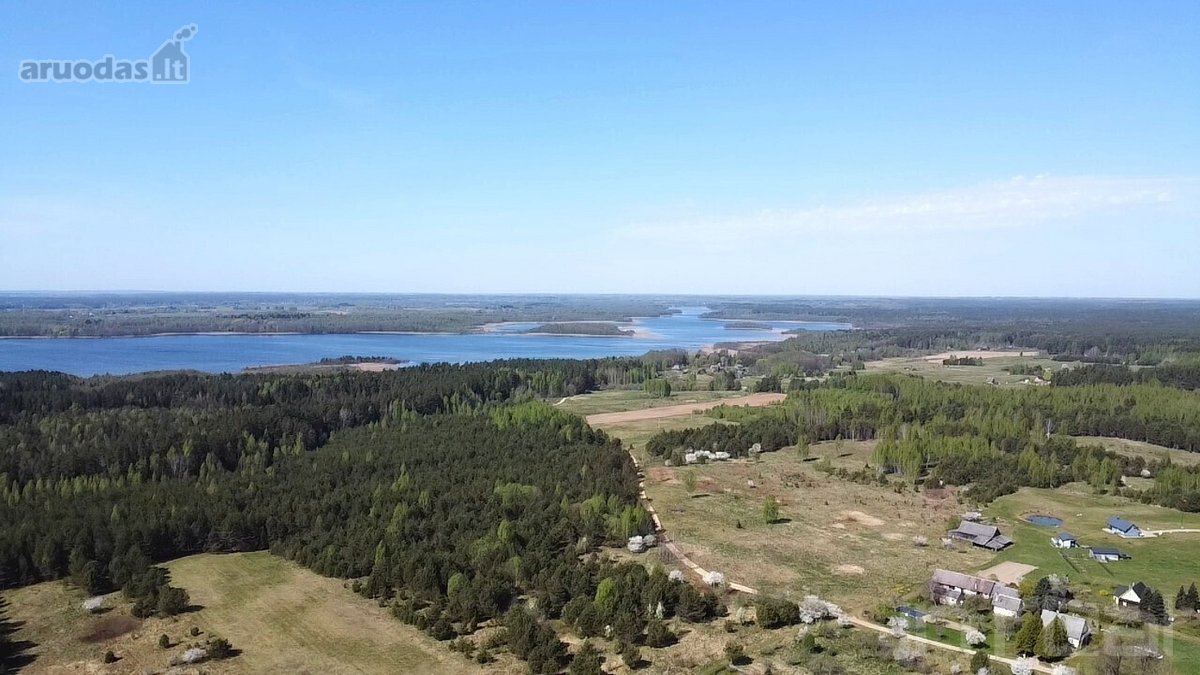 Labanoro girios apsuptyje, jaukiame ir - nuotraukos Nr. 5