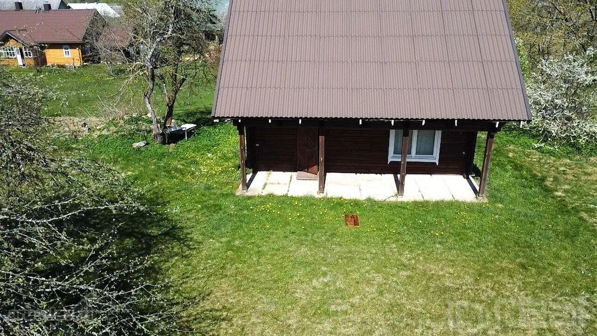 Labanoro girios apsuptyje, jaukiame ir - nuotraukos Nr. 6