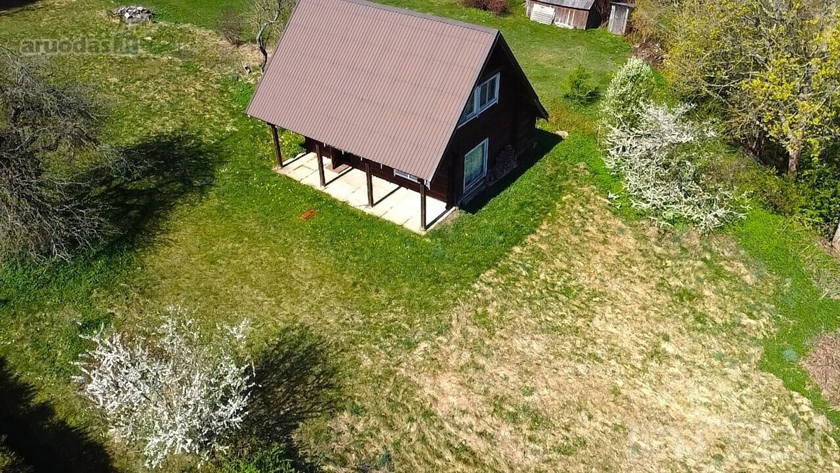 Labanoro girios apsuptyje, jaukiame ir - nuotraukos Nr. 7