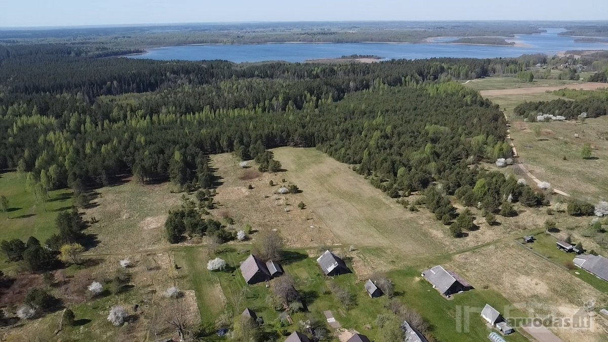 Labanoro girios apsuptyje, jaukiame ir - nuotraukos Nr. 8