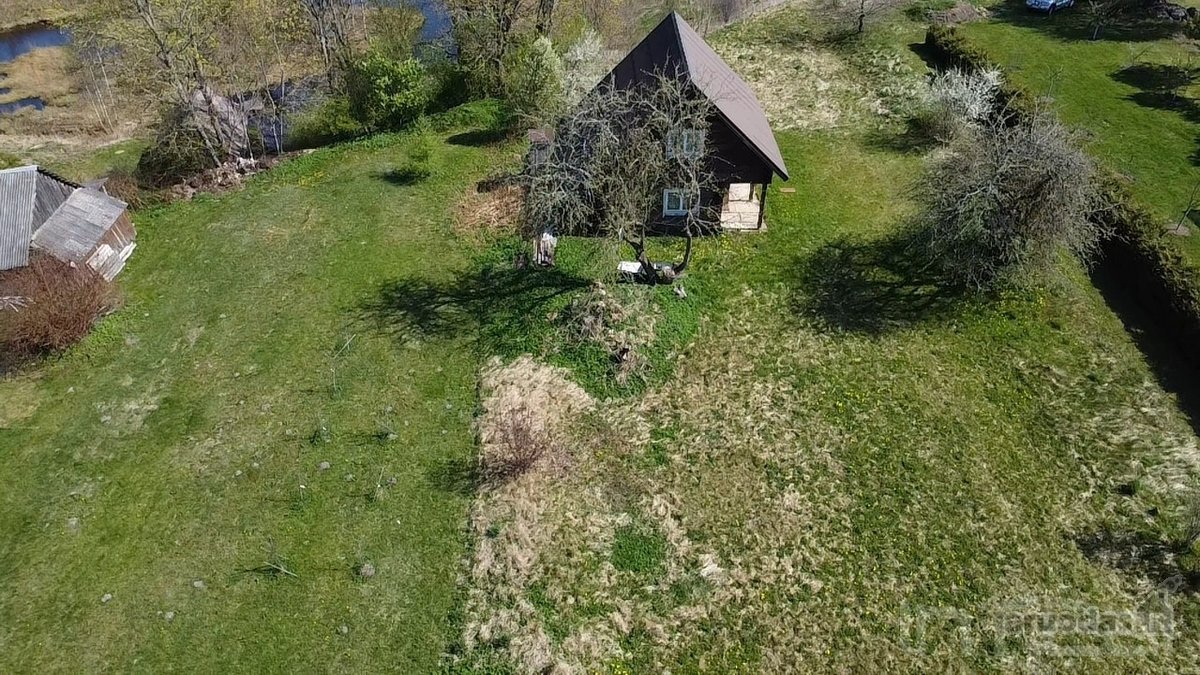 Labanoro girios apsuptyje, jaukiame ir - nuotraukos Nr. 10