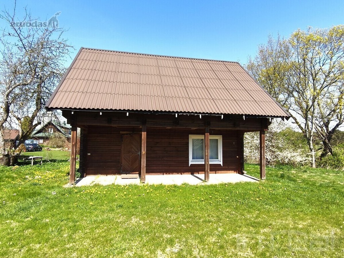 Labanoro girios apsuptyje, jaukiame ir - nuotraukos Nr. 11