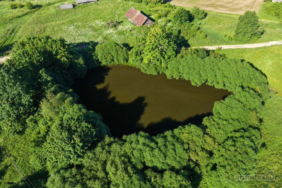 Parduodamas romantiškasis, gražią praeitį - nuotraukos Nr. 14