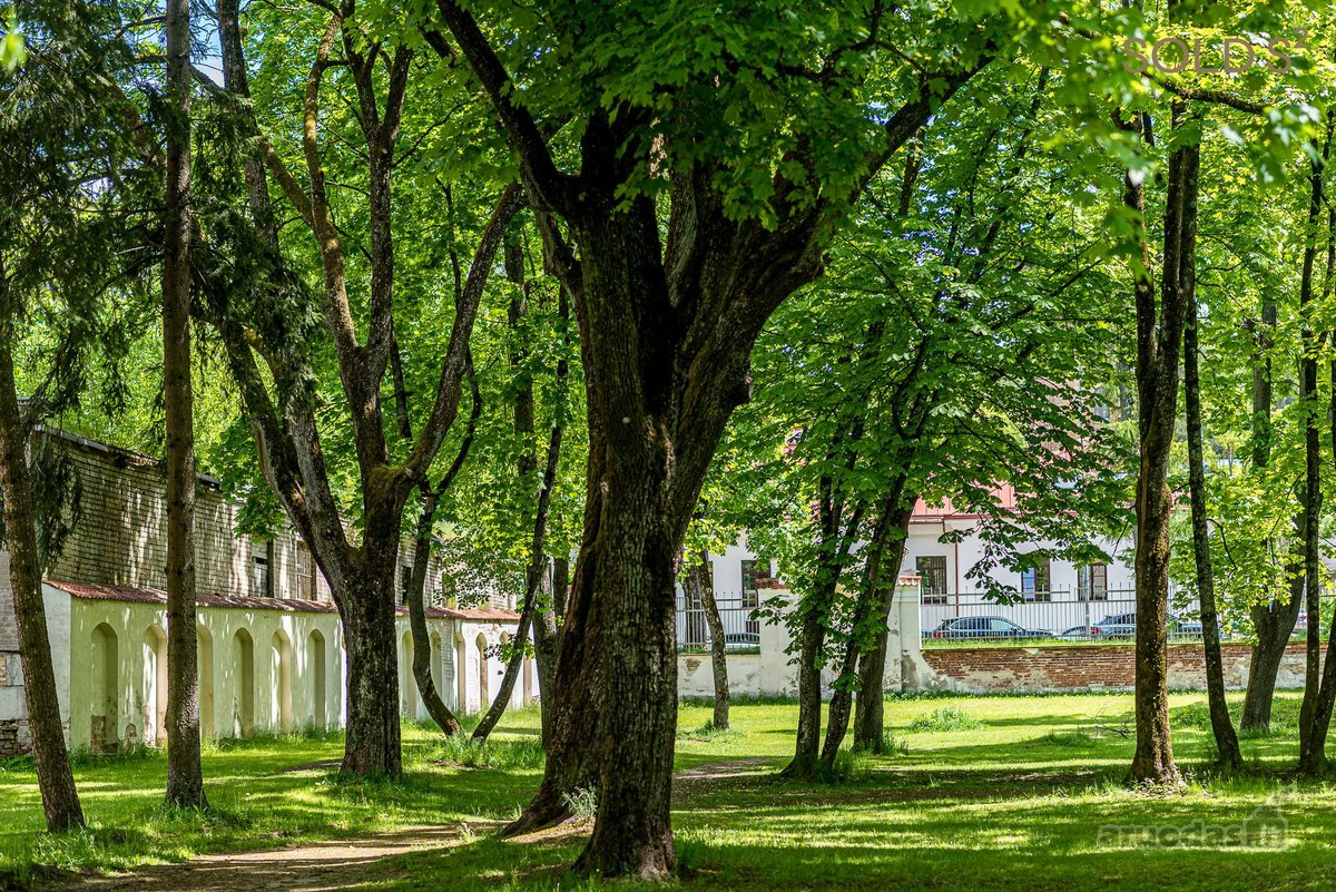 Kviečiame Į Atvirus Namus Rugsėjo 26 D. - nuotraukos Nr. 26