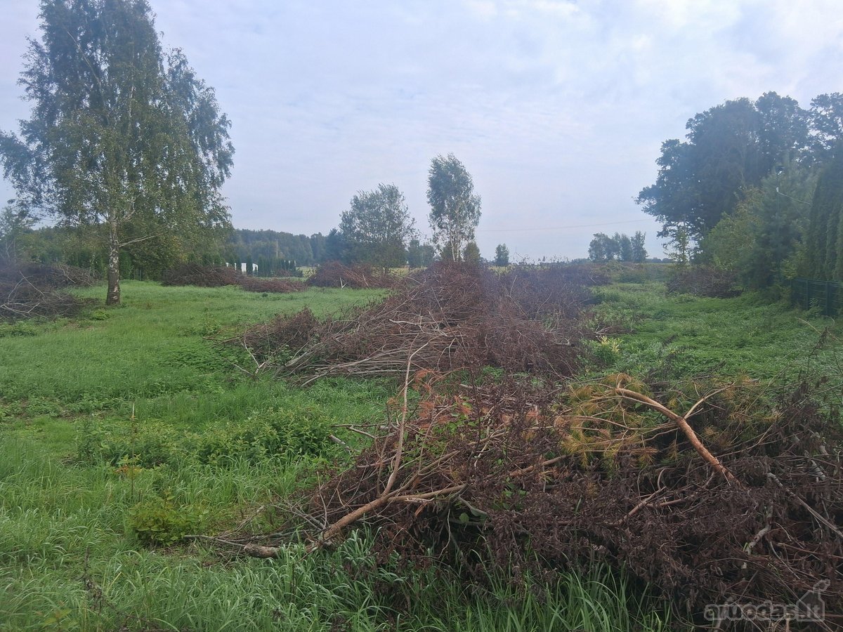 Sklypo Kaina 60000 Aro Kaina 4800 - nuotraukos Nr. 3