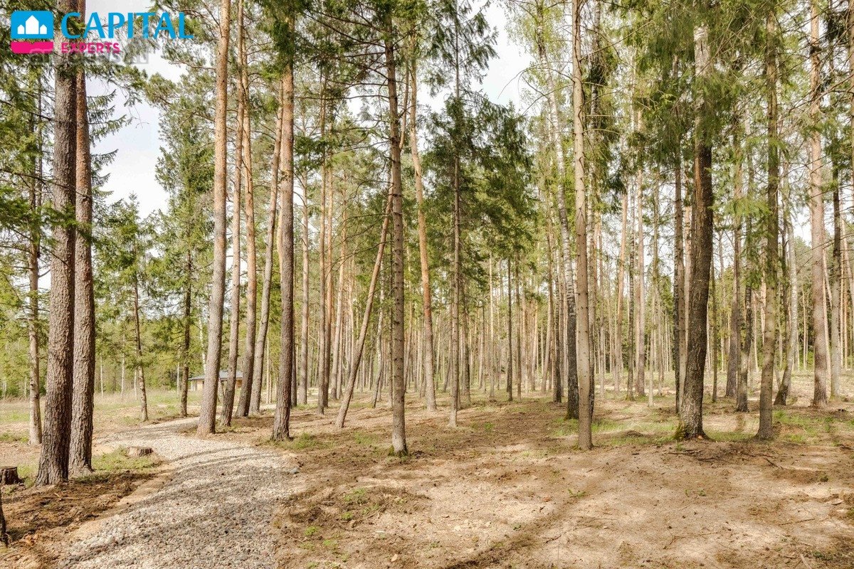 Laisvi Liko Tik 3 Namai ! - nuotraukos Nr. 29